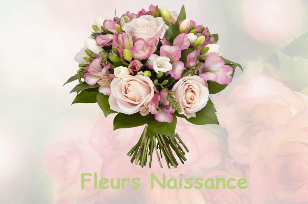 fleurs naissance CISTERNES-LA-FORET