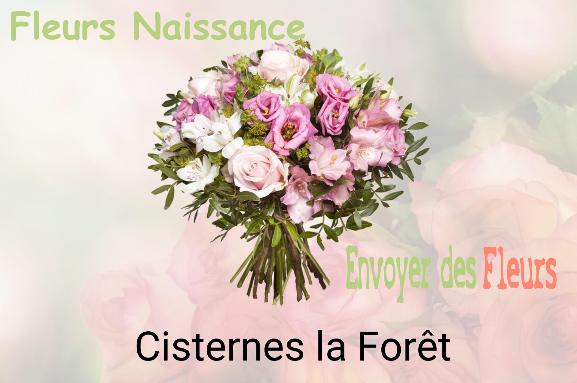 Bouquet de fleurs de naissance livré à Cisternes-la-Forêt
